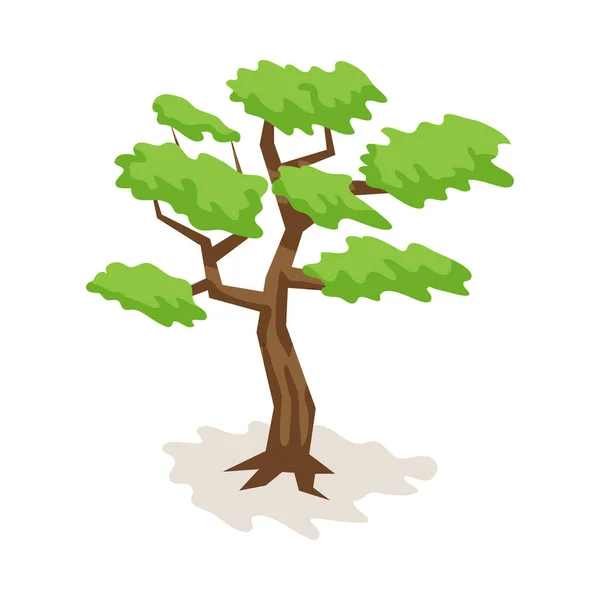 Safari Bonsai Árbol Composición — Vector de stock