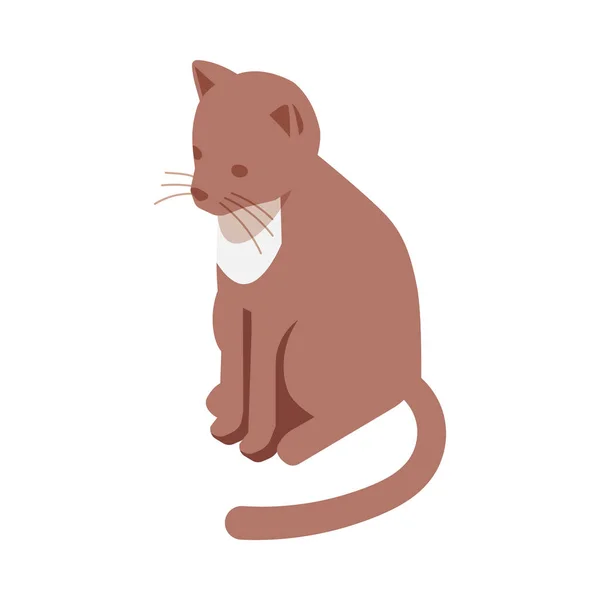 Allergisk Katt Hårsammansättning — Stock vektor