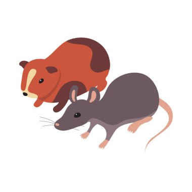 Hamster Evcil Hayvanı Isometric Bileşimi