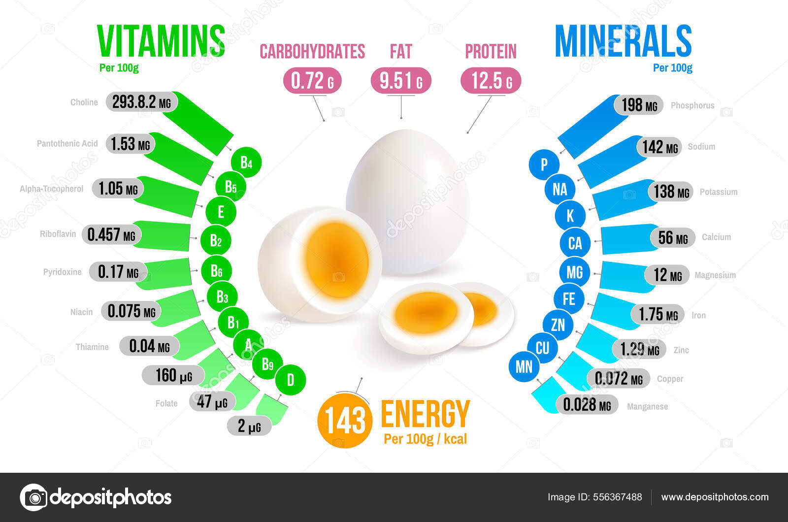 Egg Nutrients Infographics Diagram Stock Vector by ©macrovector