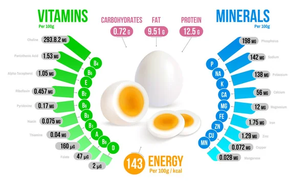 Diagrama de Infográficos de Nutrientes de Ovos — Vetor de Stock