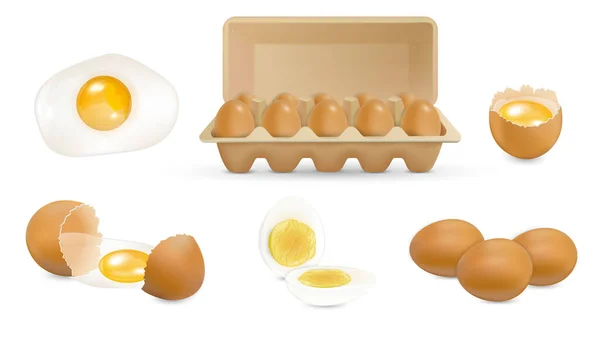 갈색 달걀 포장 세트 — 스톡 벡터