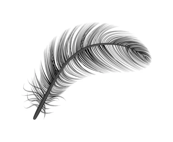 Feather Black Realistic Composition — Stock Vector