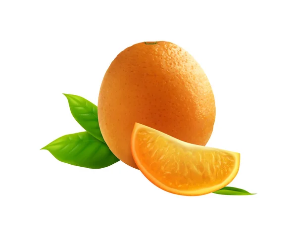 Composición de rebanada de fruta naranja — Vector de stock