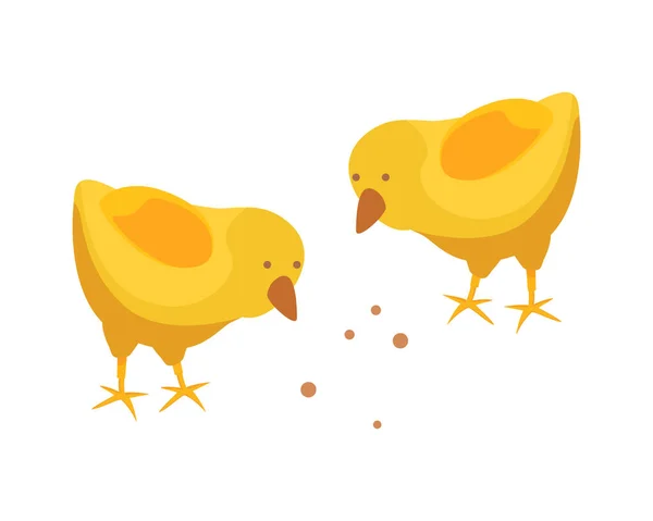 Skład izometryczny kurczaka w gospodarstwie — Wektor stockowy