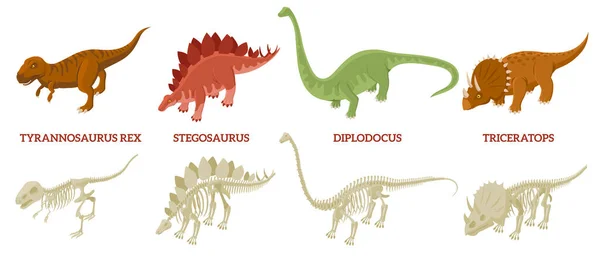 Dinosaures Squelette Compositions Set — Image vectorielle