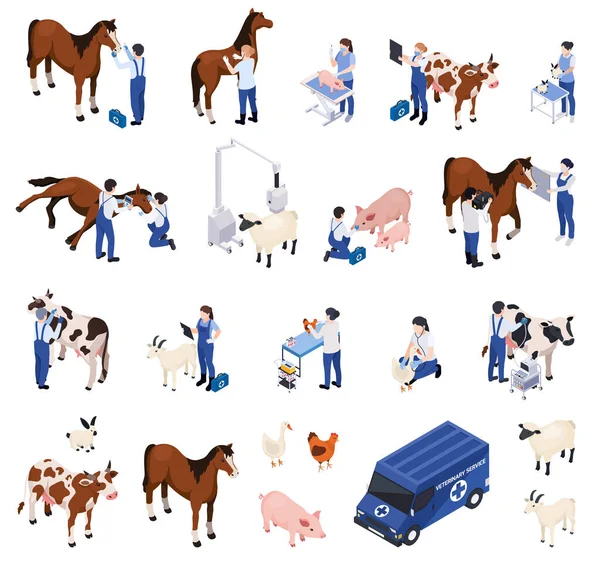Tierärztliche Zusammensetzungen für Nutztiere — Stockvektor