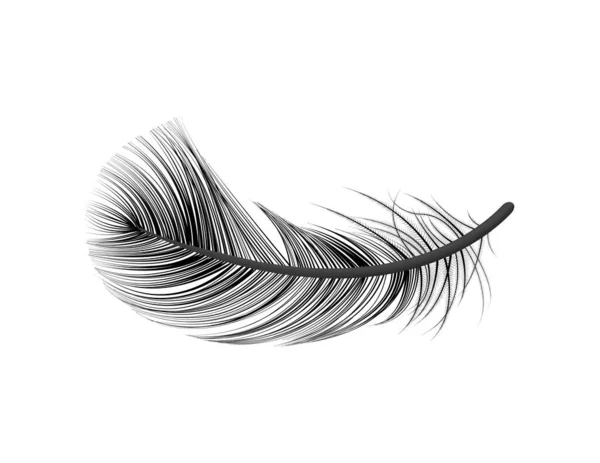 Dark Feather Realistic Composition — Stock Vector