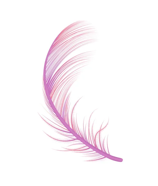 Neon Gradient Feather Composition — Stock Vector