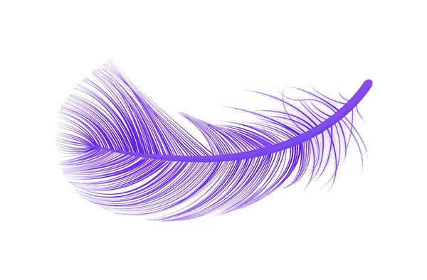 Plumes violettes Composition réaliste — Image vectorielle