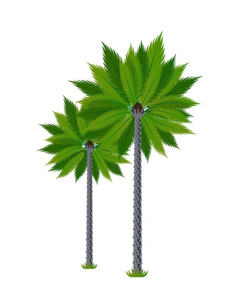 Kolumbijska kompozycja palm — Wektor stockowy