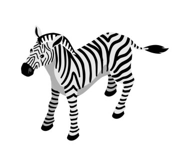 Isometric Zebra Safari Kompozisyonu