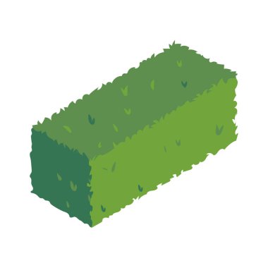 Park Yeşil Çit Kompozisyonu