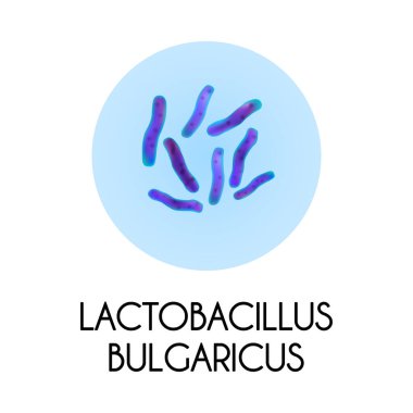 Gerçekçi Bakteri İllüstrasyonu