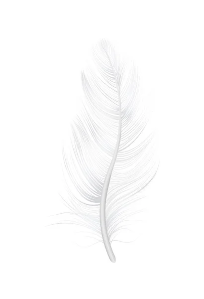 Realistic Feather Illustration — Stock Vector