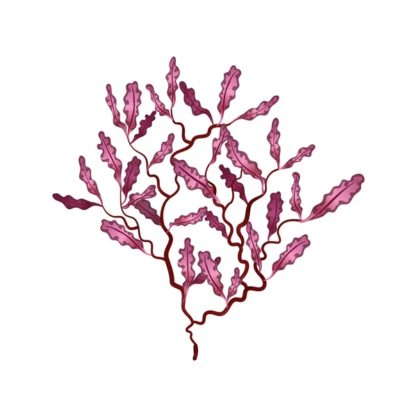 Flat Seaweed Illustration — Stock Vector