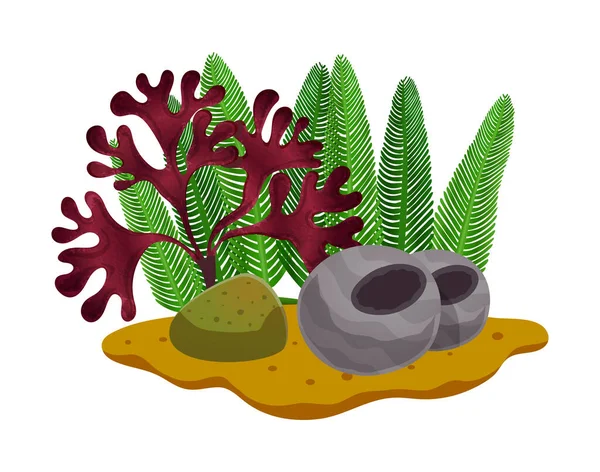 Algas marinas Ilustración plana — Archivo Imágenes Vectoriales