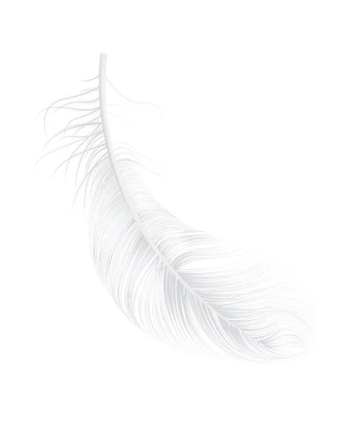 Realistic Feather Illustration — Stock Vector