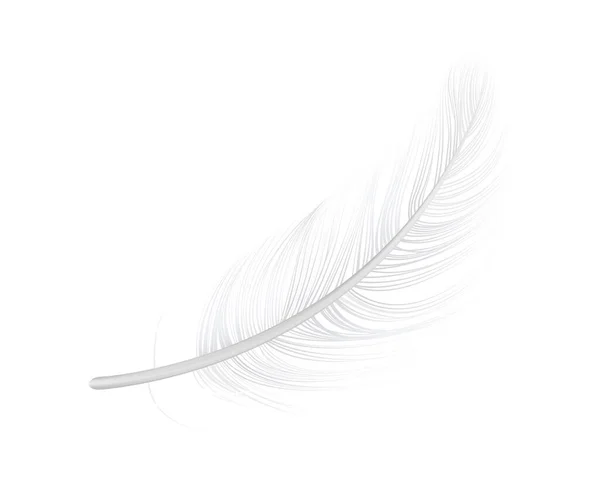 Realistic Feather Illustration — Stock Vector
