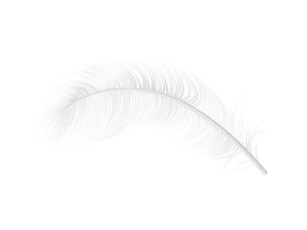 Realist Feather Illustration — Vector de stoc