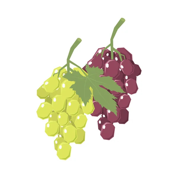 Ilustração de uvas isométricas — Vetor de Stock