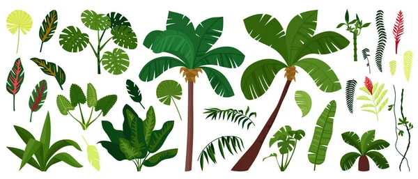Jungle Plant Icon Set — Vettoriale Stock