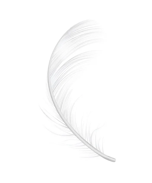 Realistic Feather Icon — Stock Vector