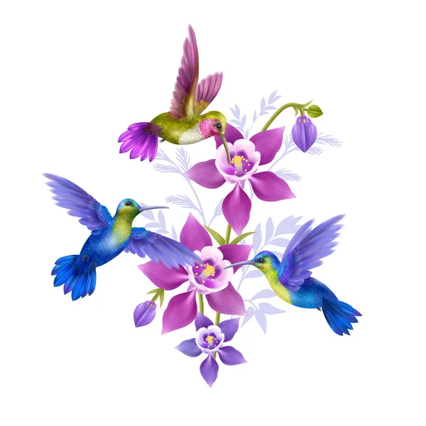Hummingbird Concept Illustration — ストックベクタ