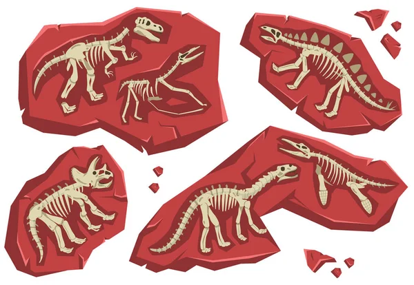 Dinosaur Skeleton Set — стоковый вектор