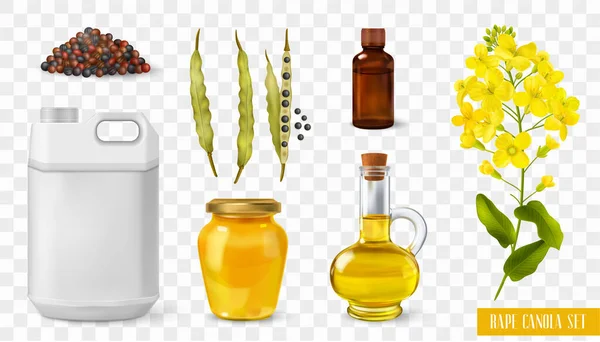 Verkrachting Canola Transparant Set — Stockvector