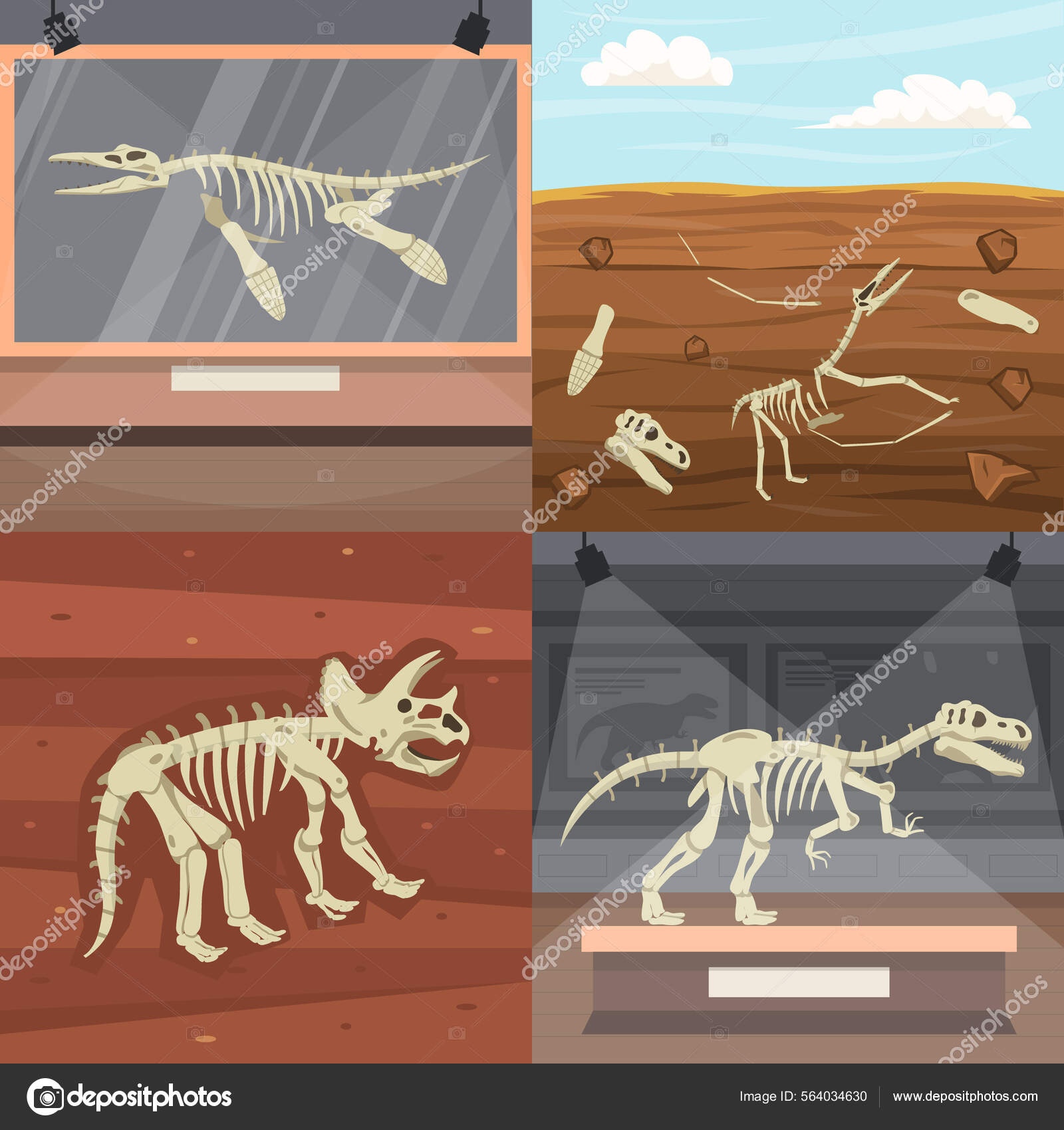 Esqueleto Dino Desenhos Animados Ossos Fósseis Dinossauros Antigos