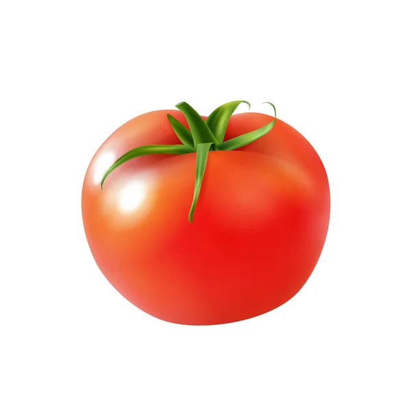 Illustrazione realistica del pomodoro — Vettoriale Stock