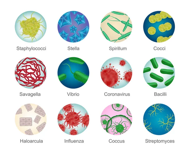 Set de iconos redondos de bacterias — Archivo Imágenes Vectoriales