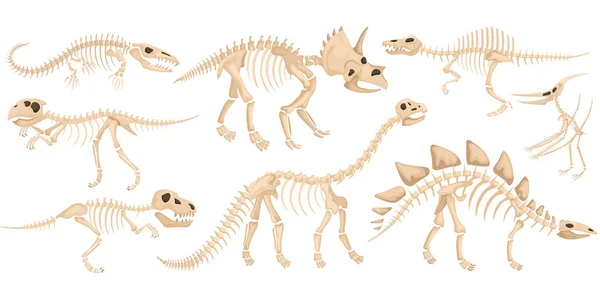 Ensemble d'icônes squelette dinosaure — Image vectorielle