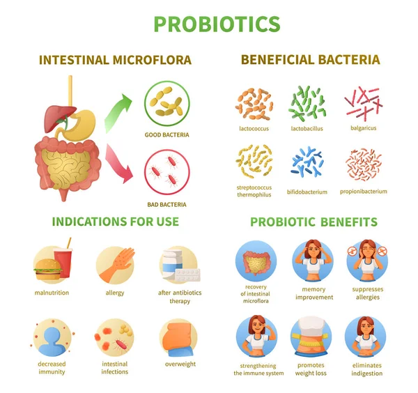 Probiotics Infographics Cartoon Set — Archivo Imágenes Vectoriales