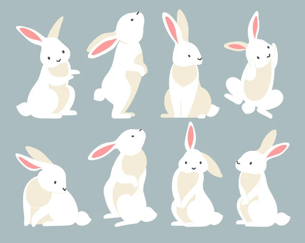 Набор икон для белых кроликов — стоковый вектор