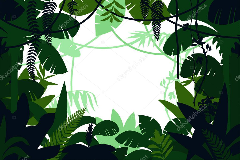 Colored Jungle Frame
