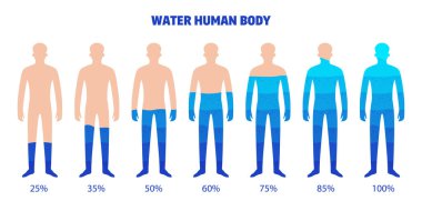 Human Body Water Set