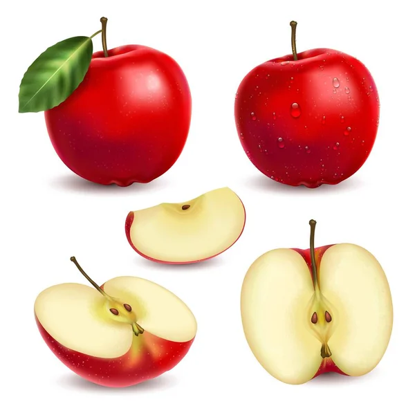 現実的なりんごセット — ストックベクタ
