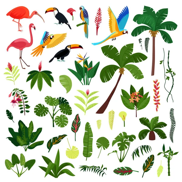 Jungle Plant Bird Flowers Icon Set — Stock Vector