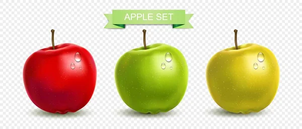 Conjunto de manzanas realistas — Vector de stock
