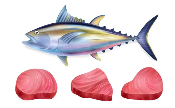 Realistic Tuna Fish Steak Icon Set — Stock Vector