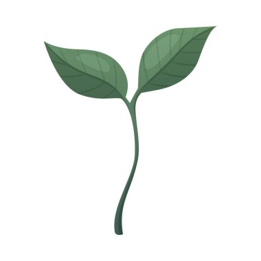 Çizgi film Kahve Filizi