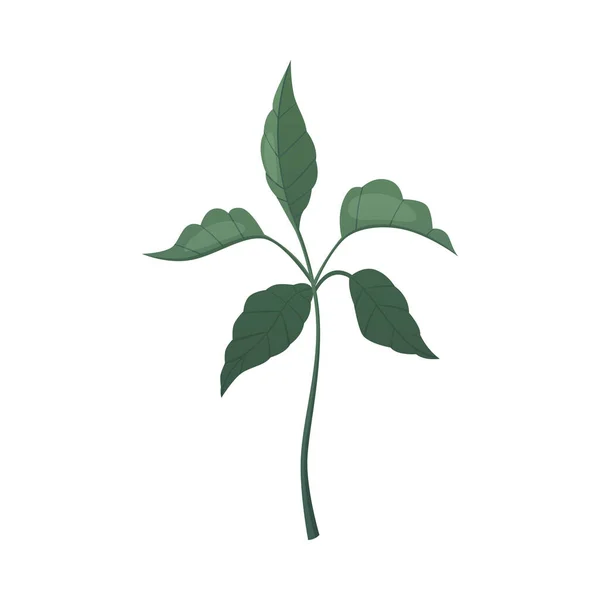 Cartoon Koffie Sprout — Stockvector