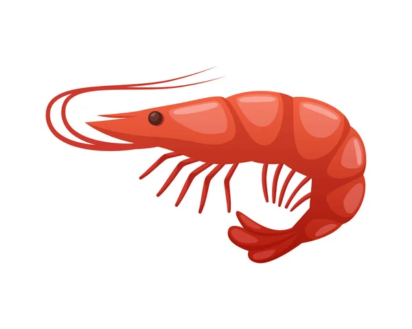 Shrimp Cartoon Illustration — Stock Vector