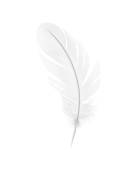 White Feather Realistic Composition — Stock Vector