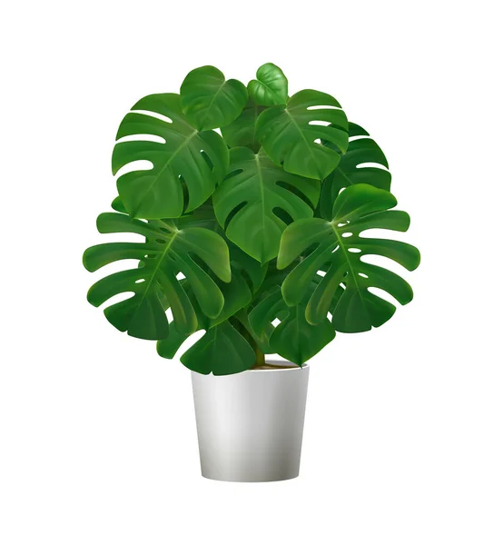 Exotic Pot Plant Composition — Vector de stock