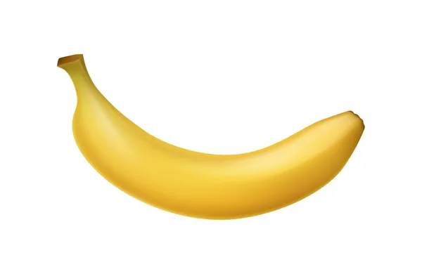 Single Banana Fruit Composition — Vetor de Stock