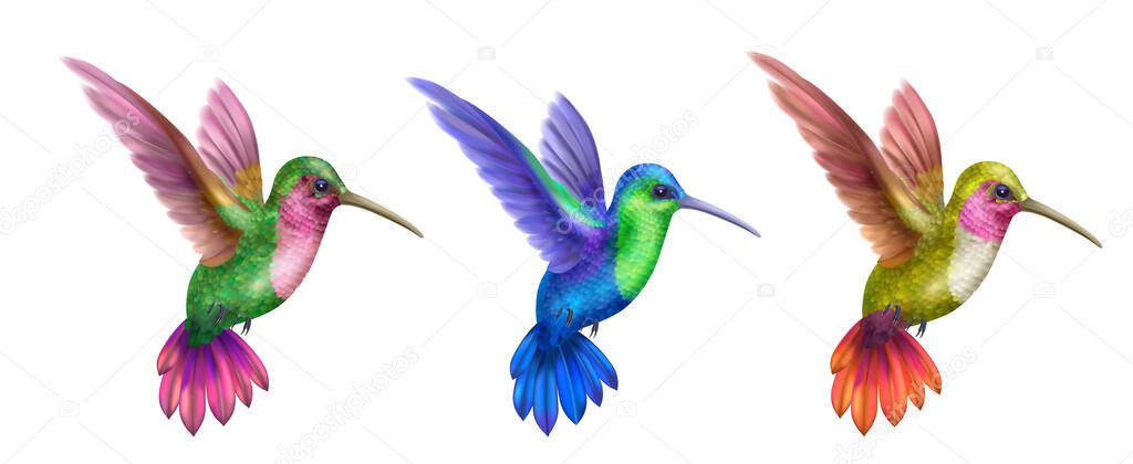 Flying Hummingbird Realistic Set