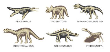 Dinozor İskeleti